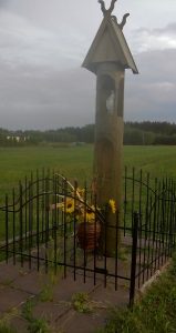IMAG0441