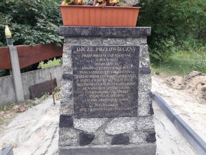 pasyjny1