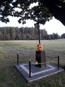 myszka1