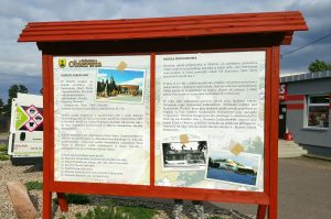 obierwia11