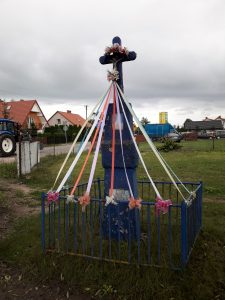 obierwia6