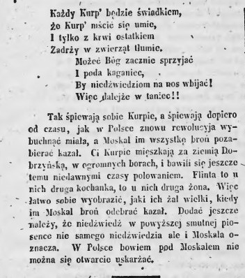 biedaczek1 — kopia